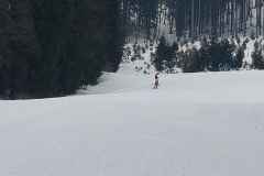IMG-20220211-WA0012