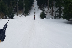 IMG-20220211-WA0029