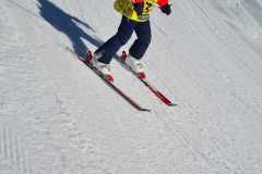 IMG-20250208-WA0005