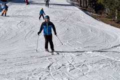 IMG-20250208-WA0017