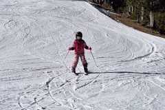 IMG-20250208-WA0023