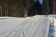 IMG-20250209-WA0043